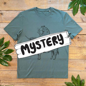 Mystery T-Shirt