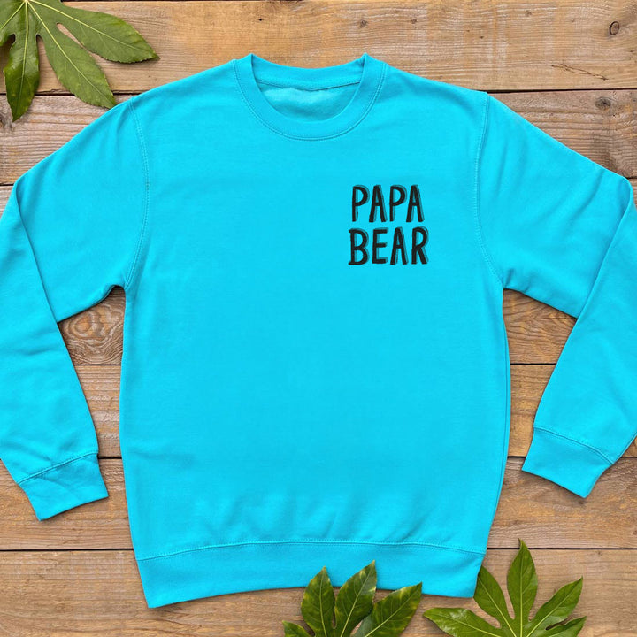 blue mens jumper with papa bear text